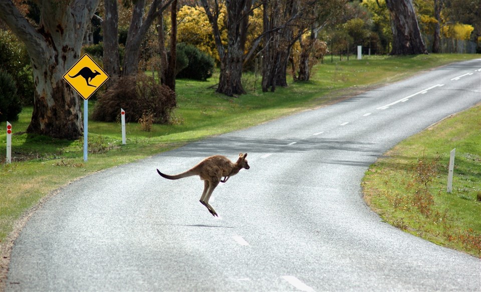 holidays for singles over 50 australia