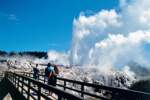 Great New Zealand Experience