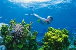 Australia's Great Barrier Reef