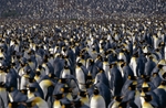 Antarctica Classic Cruise