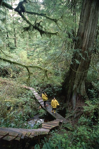 tofino