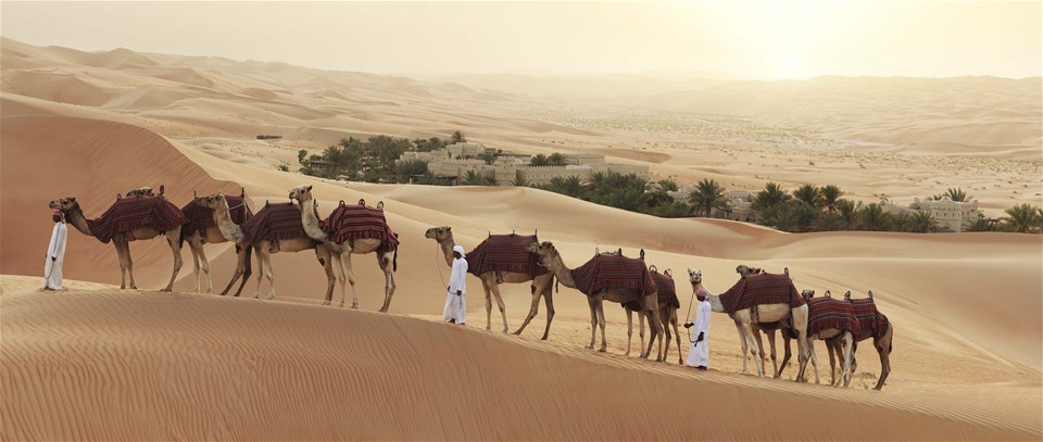 UAE's Desert, City & Beach