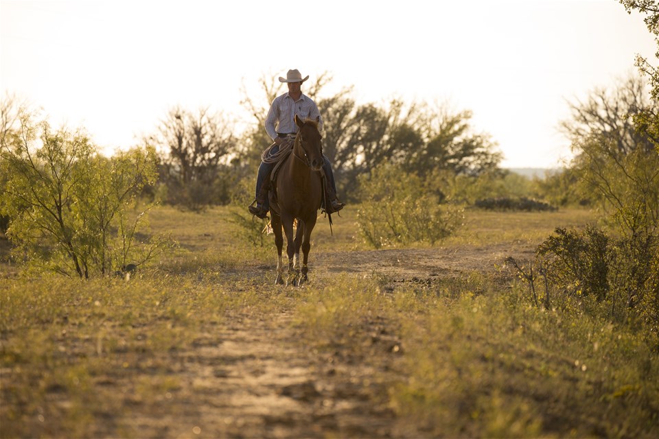 Texan Trails