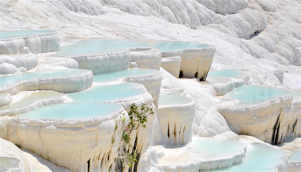 Turkish Delights