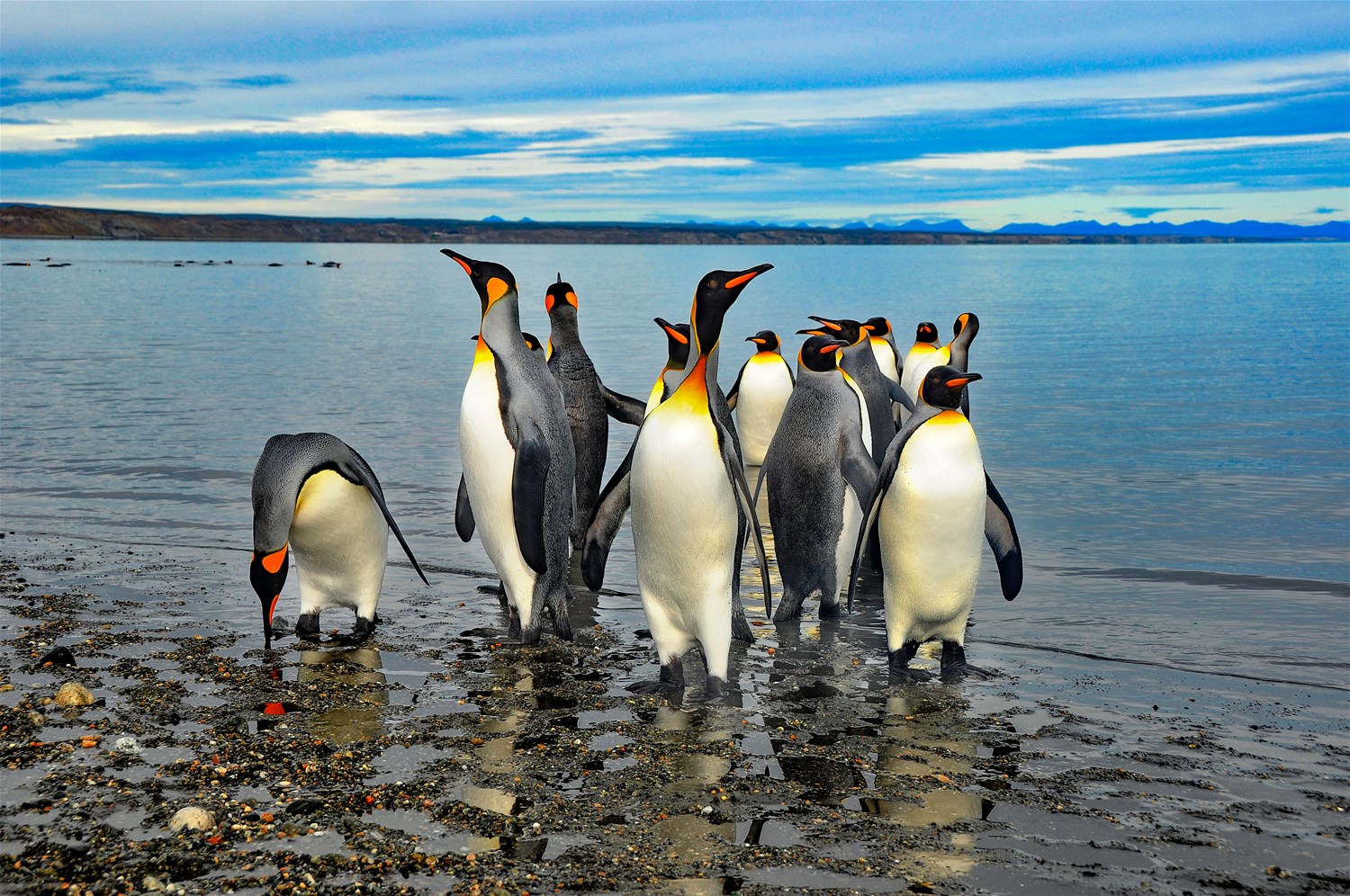 Tierra Del Fuego