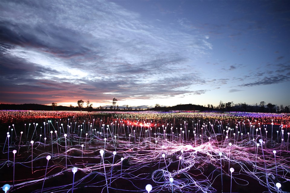 Field of Light Sunrise