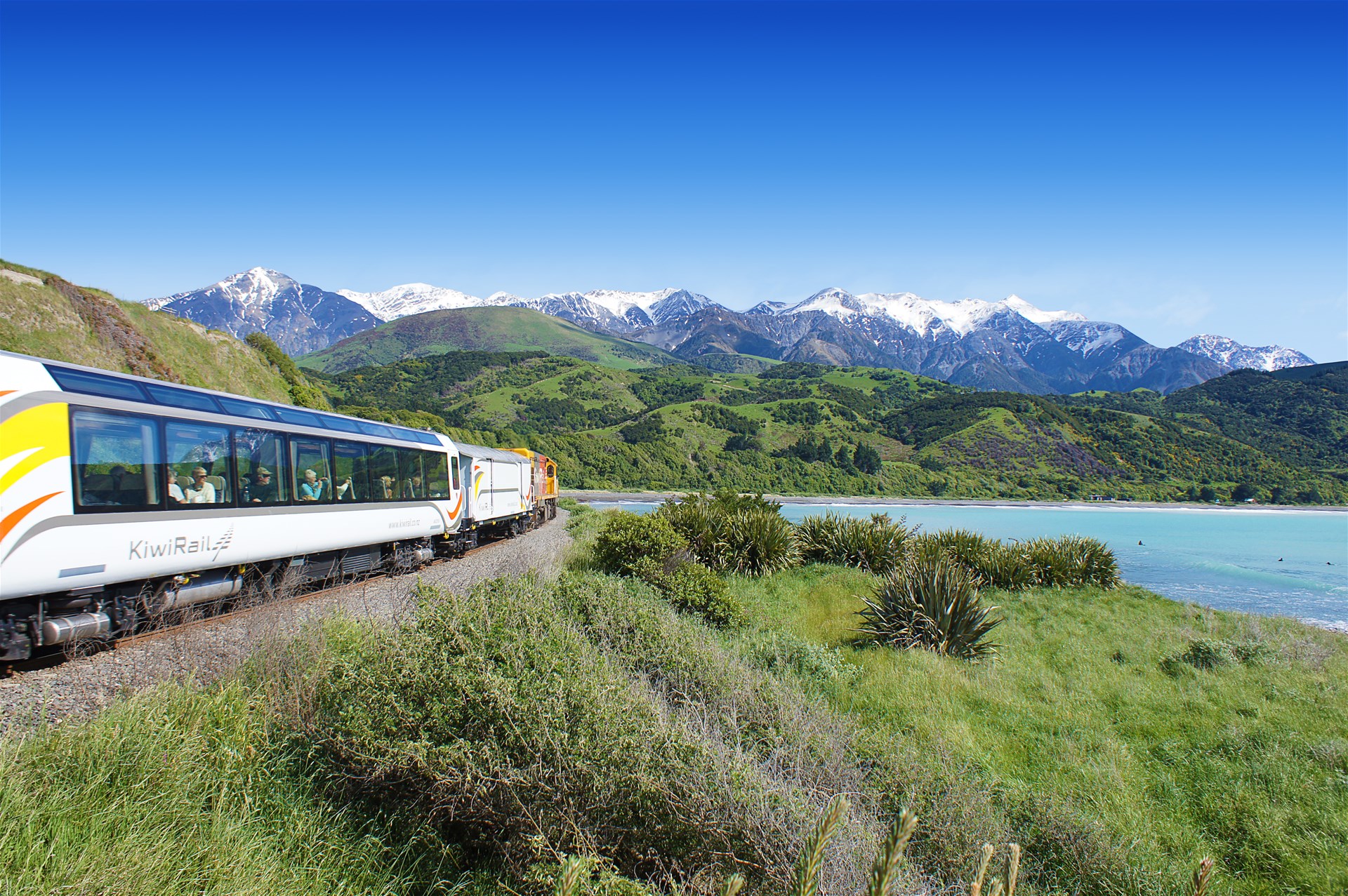 Coastal Pacific