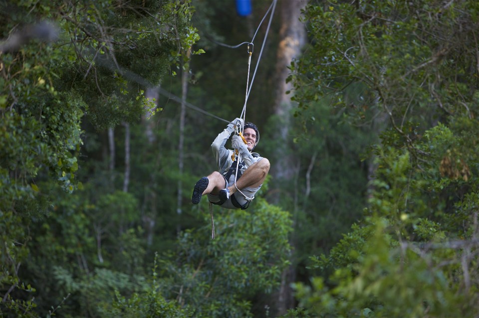 Tsitsikamma Canopy Tour