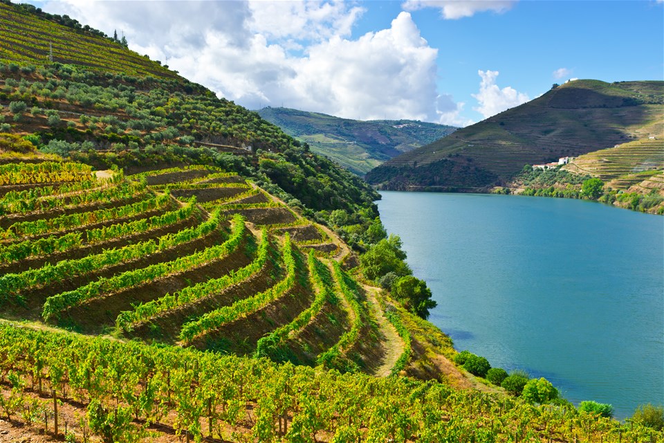 Douro Valley Wine Tour