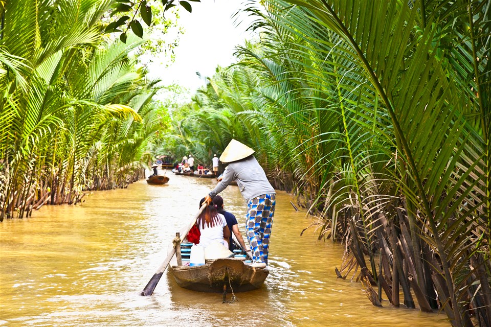 Mekong Delta in Depth