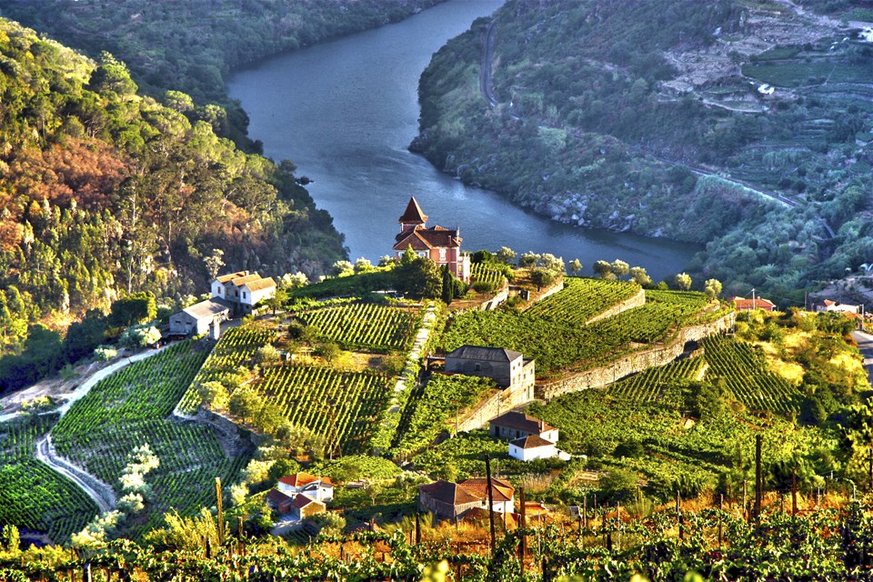 Wine & Dine Northern Portugal