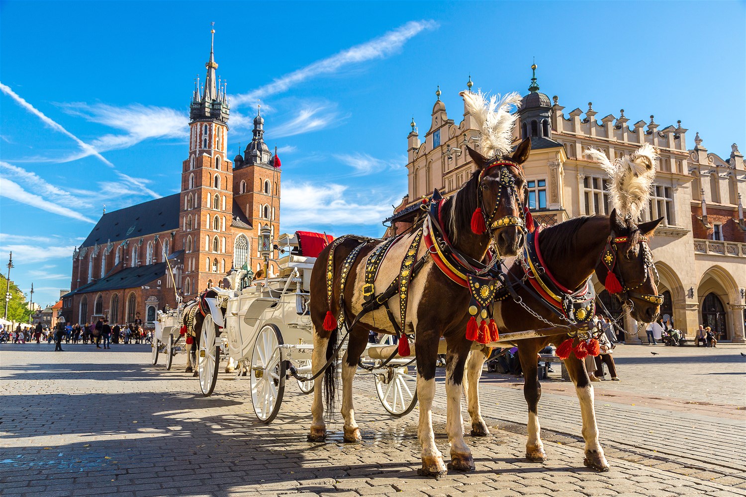 sightseeing tours in poland