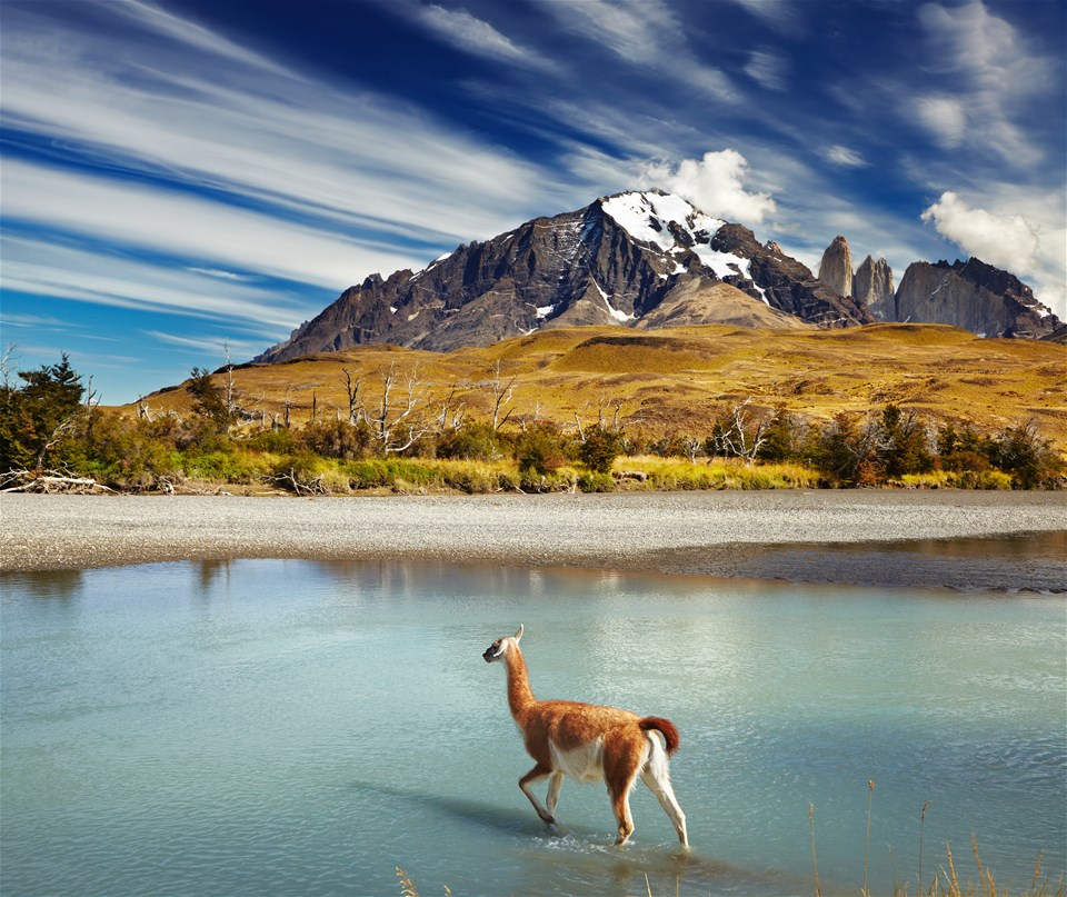 Classic Patagonia Treks