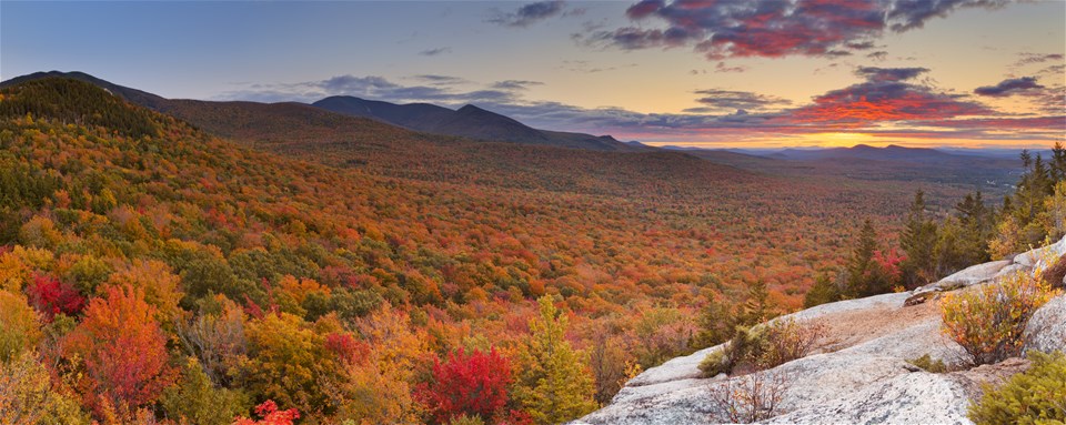 New England's Fall Foliage - Insight