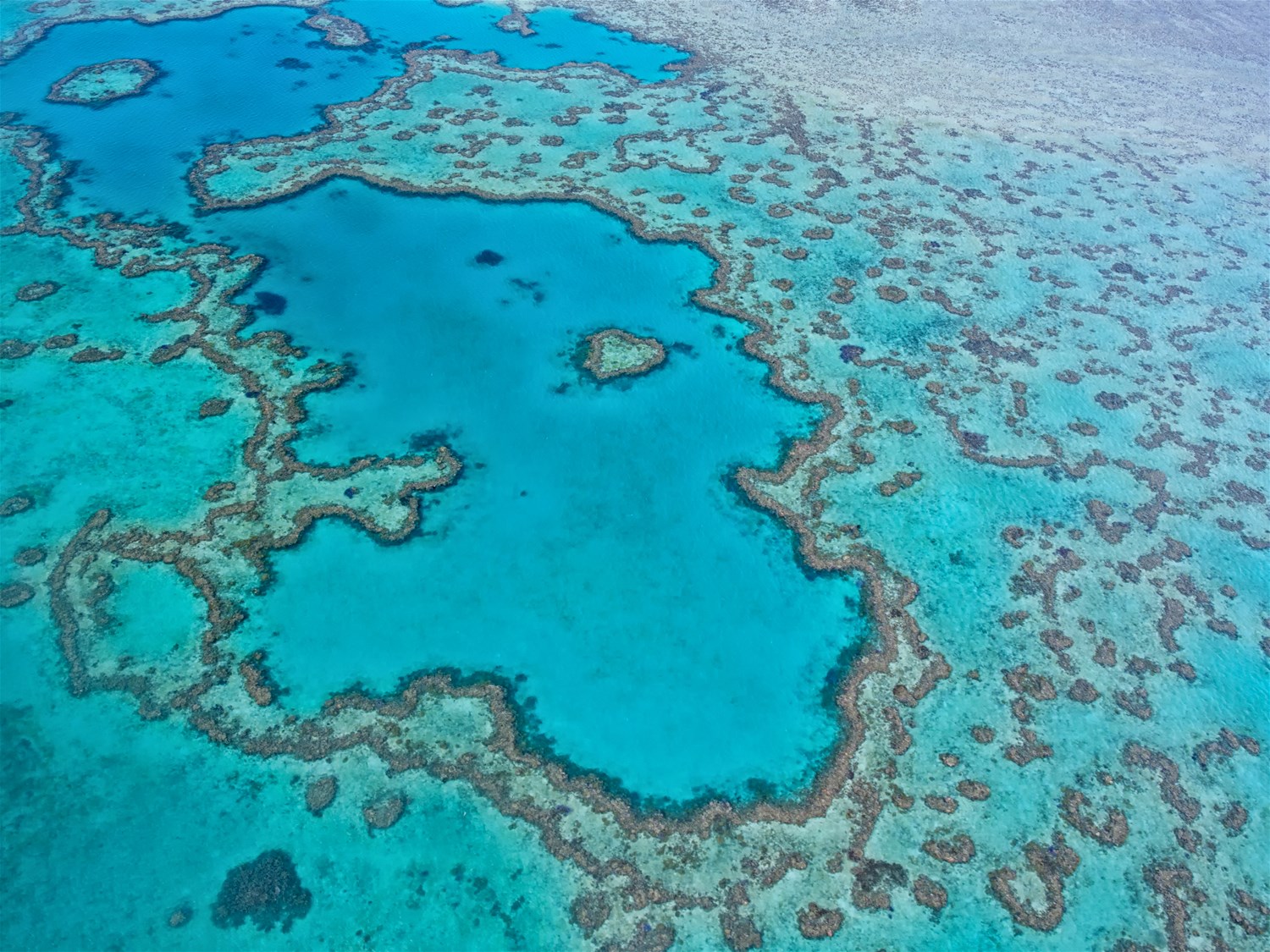 Islands Of The Great Barrier Reef