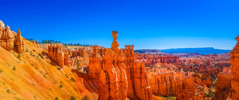 Western USA Highlights Adventure Tour USA National Parks, 41% OFF