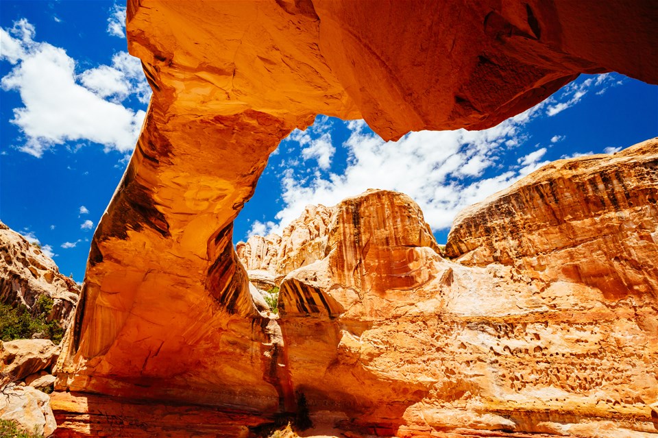 Utah's Mighty 5 National Parks Tour | Trailfinders