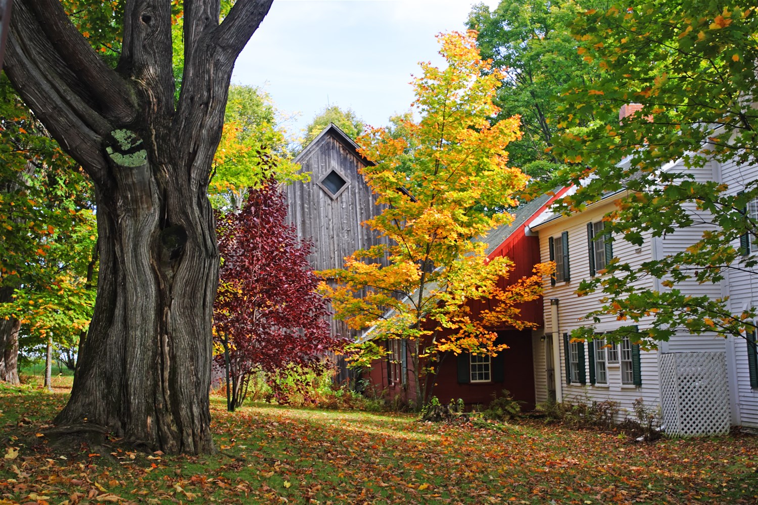 New England