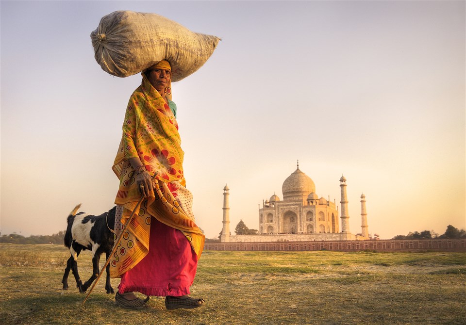 Majestic India - North and South