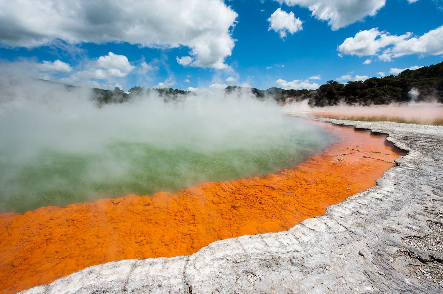 Rotorua to Wellington