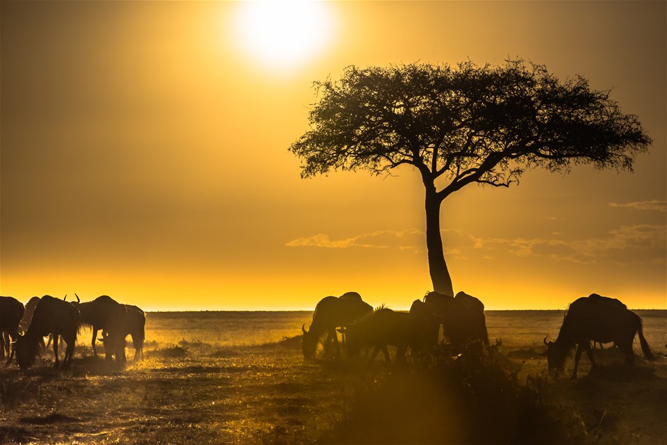 Through The Rift Valley (private)