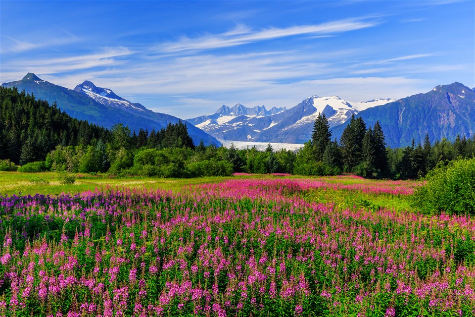 Alaska's Wilderness, Glaciers & Culture