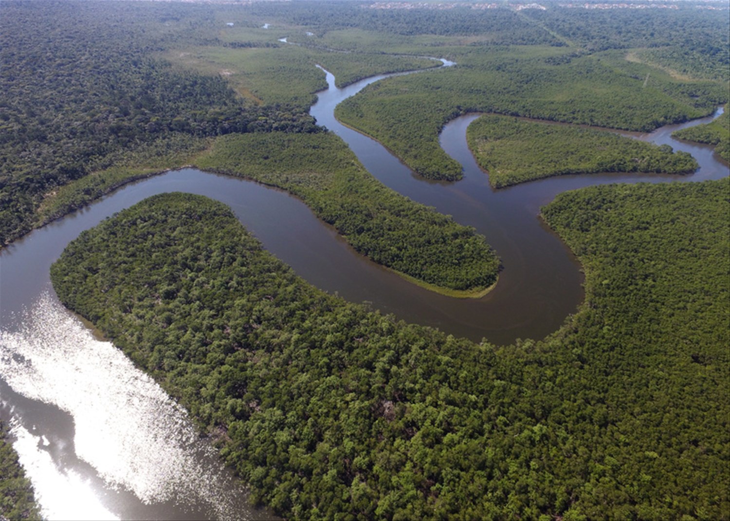 Ecuadorian Amazon