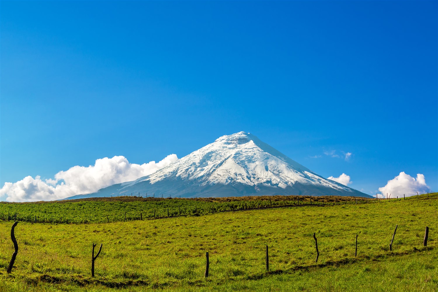 Cotopaxi