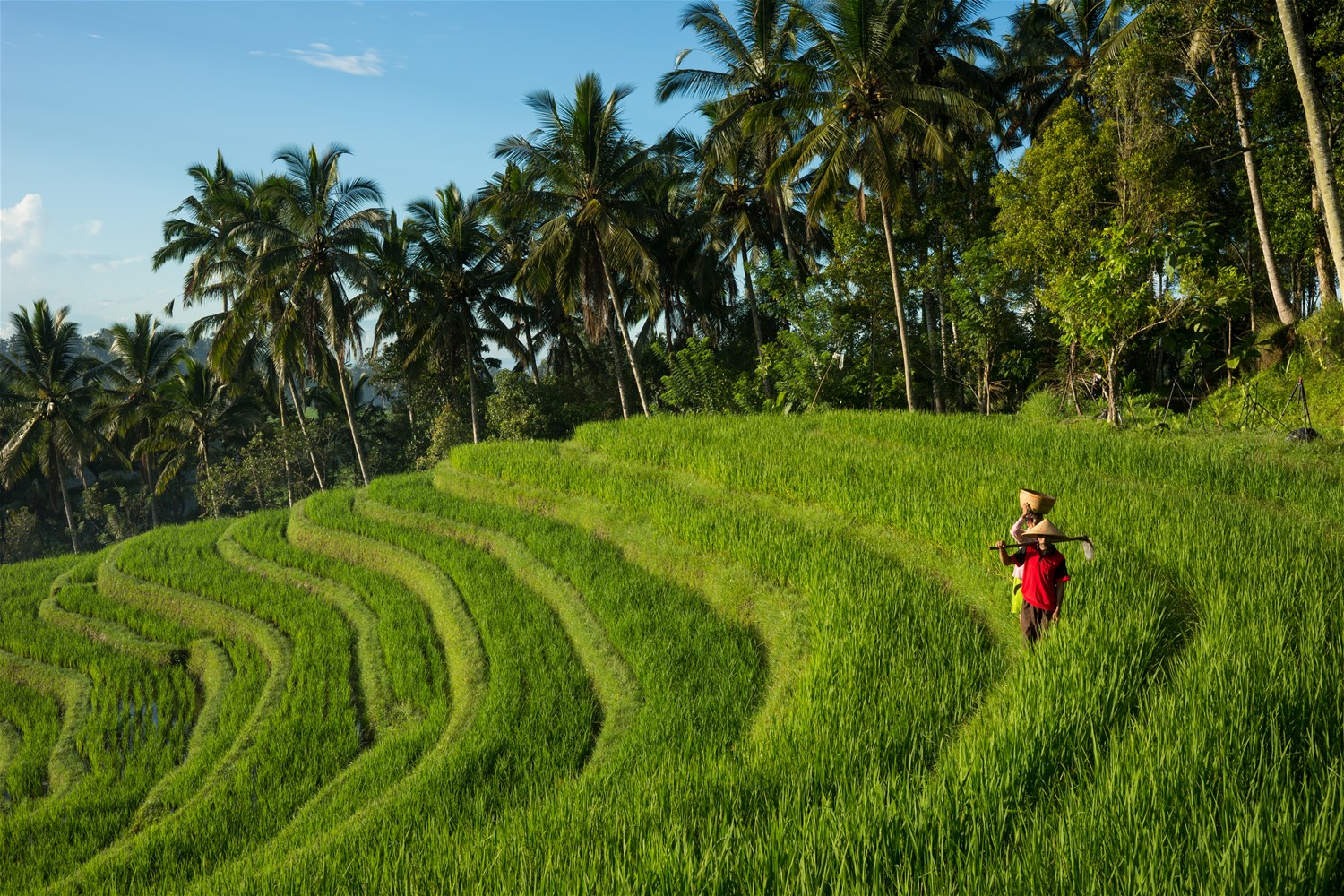 Indonesia