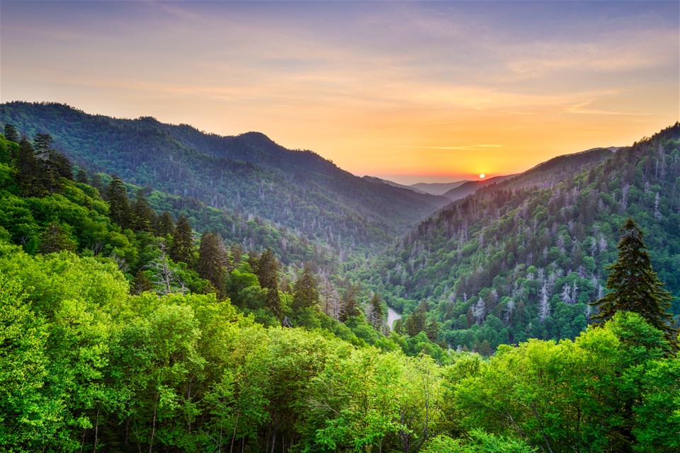 Tennessee Music & Mountains