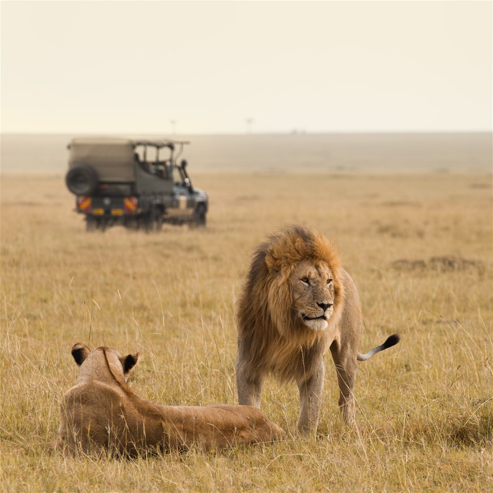 Marvels of the Masai Mara & Exotic Zanzibar