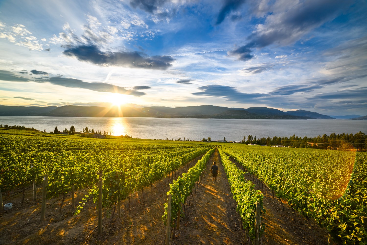 British Columbia: Mountains, Wineries & Ranches