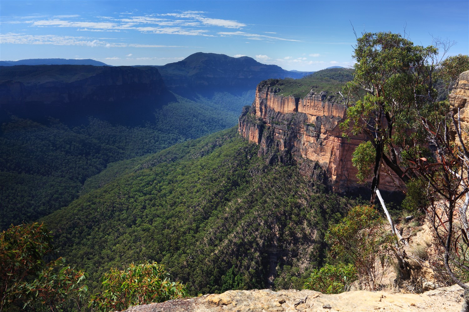 Blue Mountains & The Hunter Valley