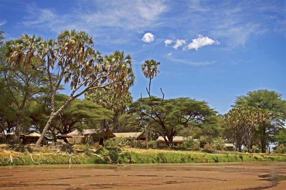 Elephant Bedroom Camp