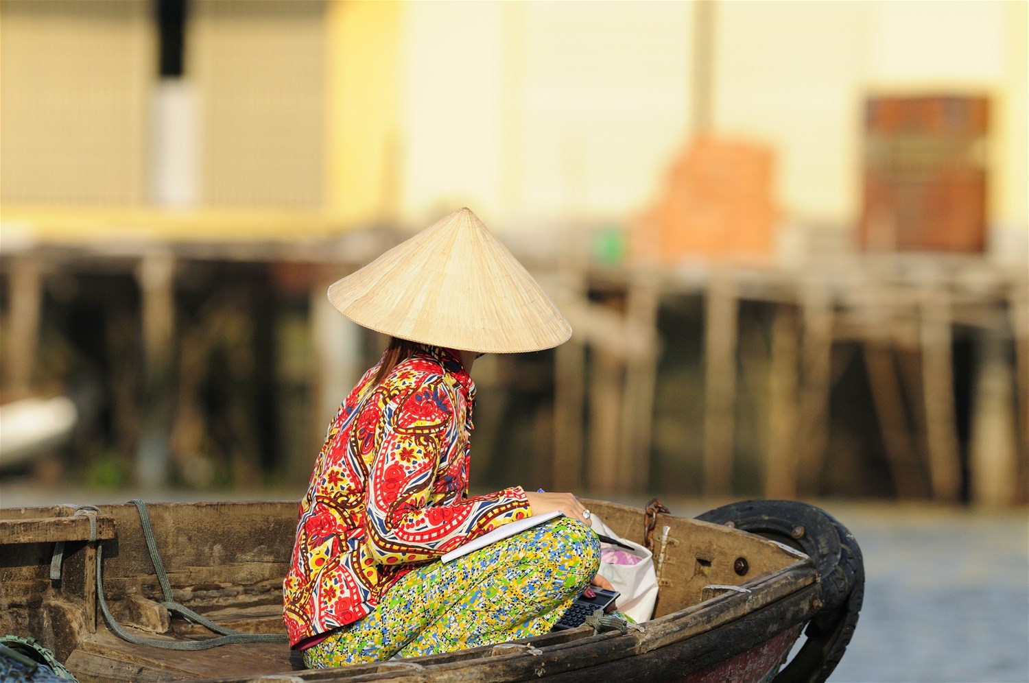 Mekong Delta