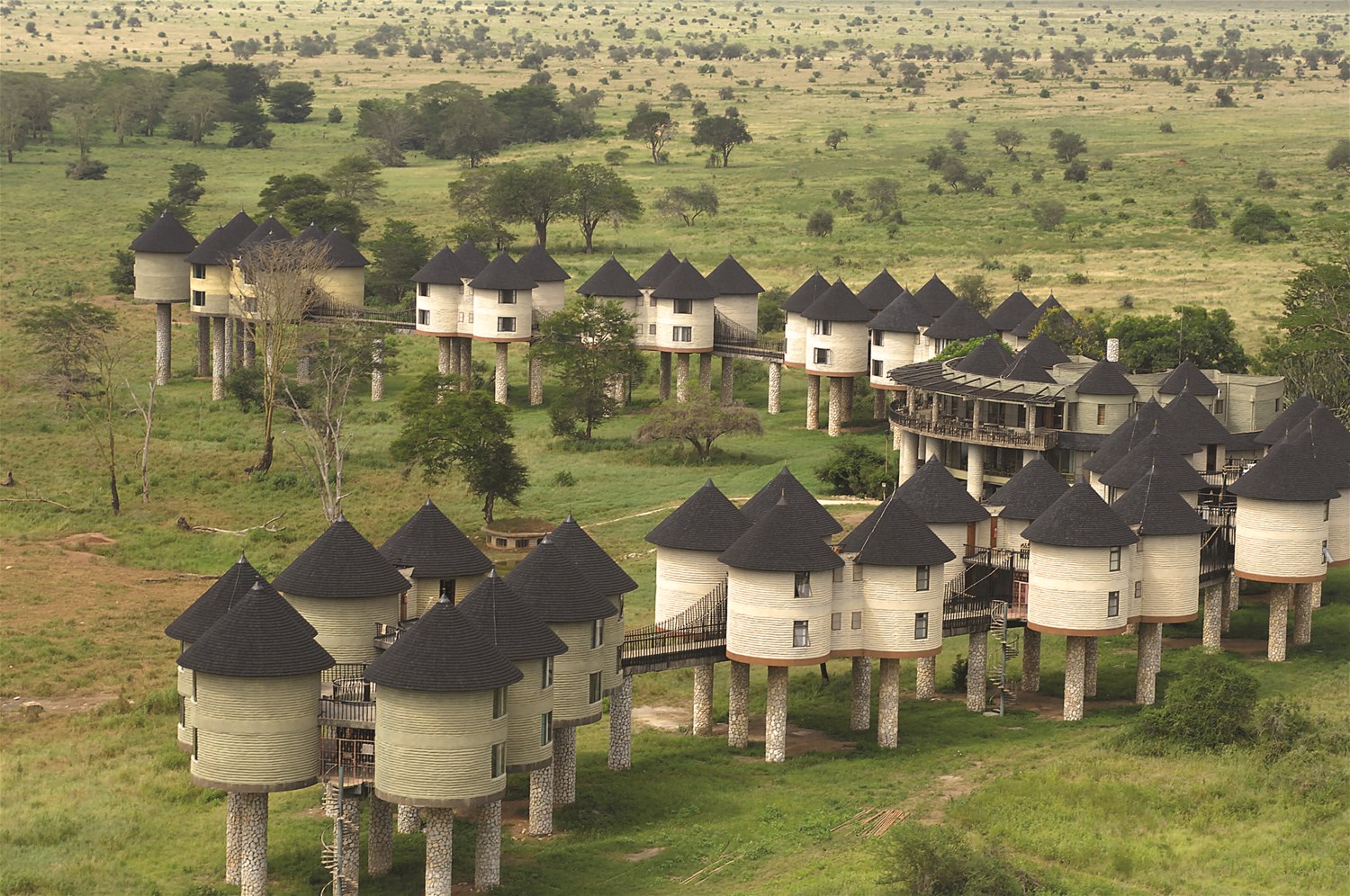 Sarova salt lick safari