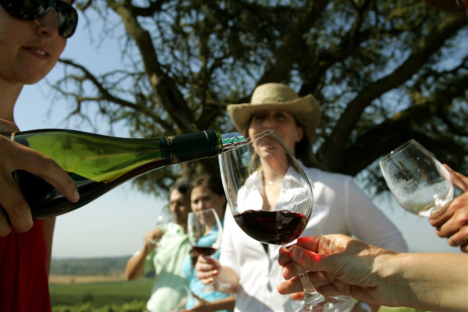 Casablanca & San Antonio Vineyards