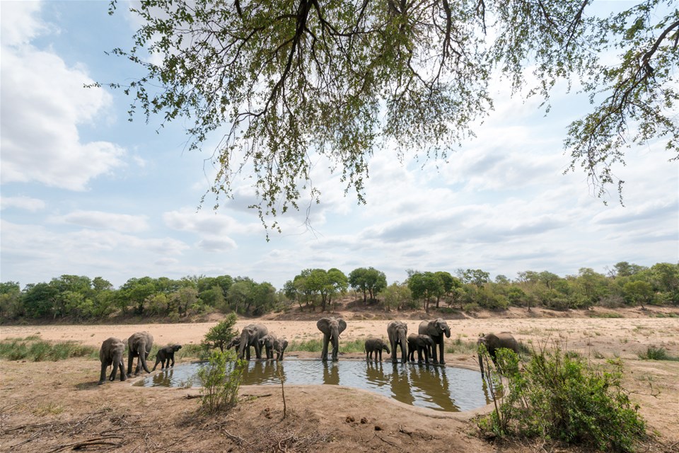 Family Kruger