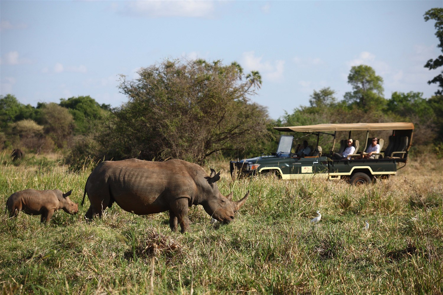 Meru National Park