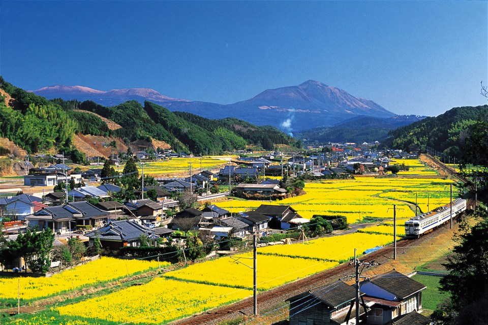 Rural Japan Farming and Culture Tour