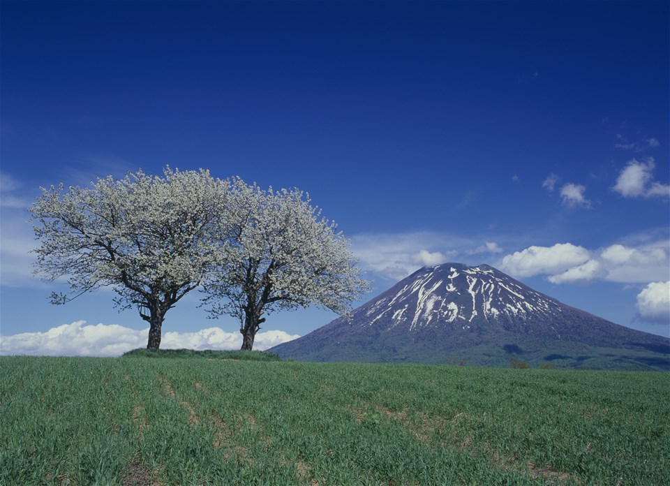 Hokkaido Explorer