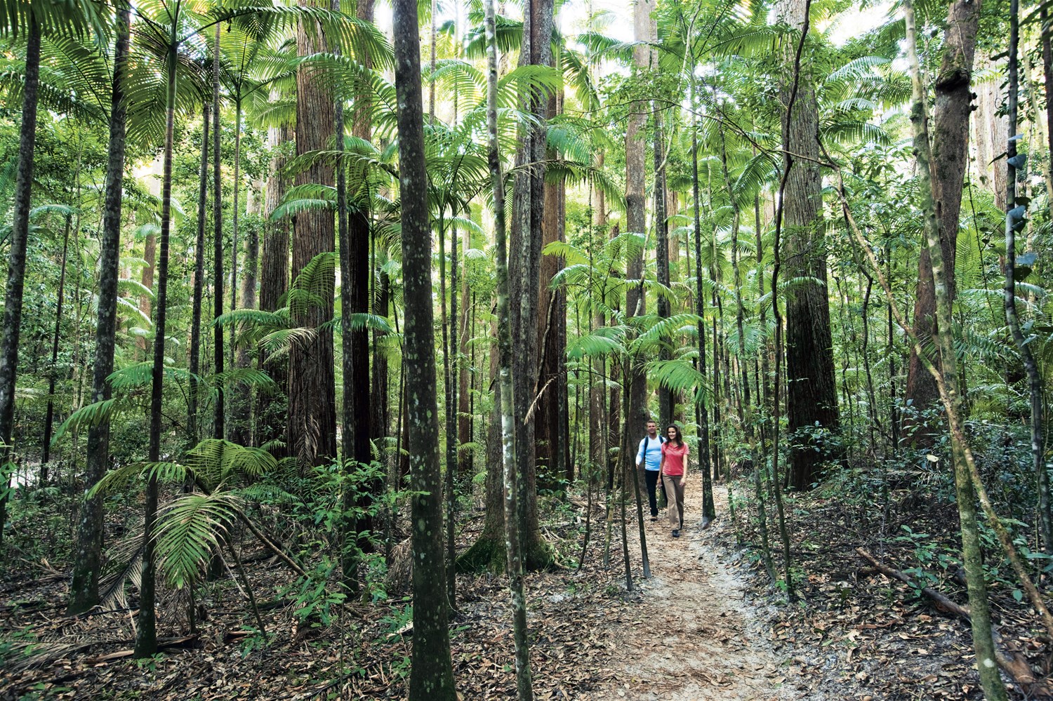 Fraser Island & the Sunshine Coast