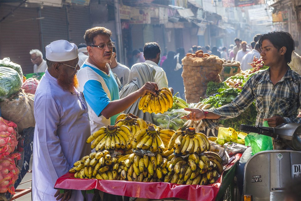 Old Delhi Walking Tour