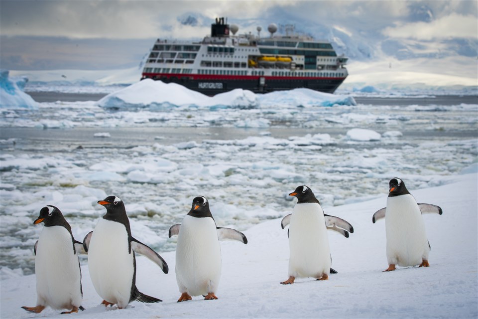 Highlights of Antarctica Tour | Trailfinders