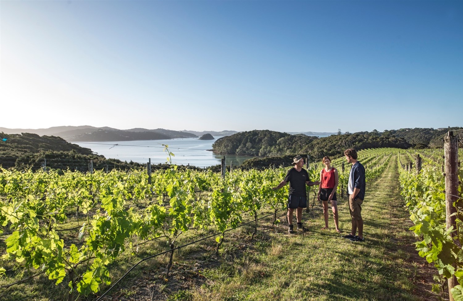 Bay Of Islands & Northland