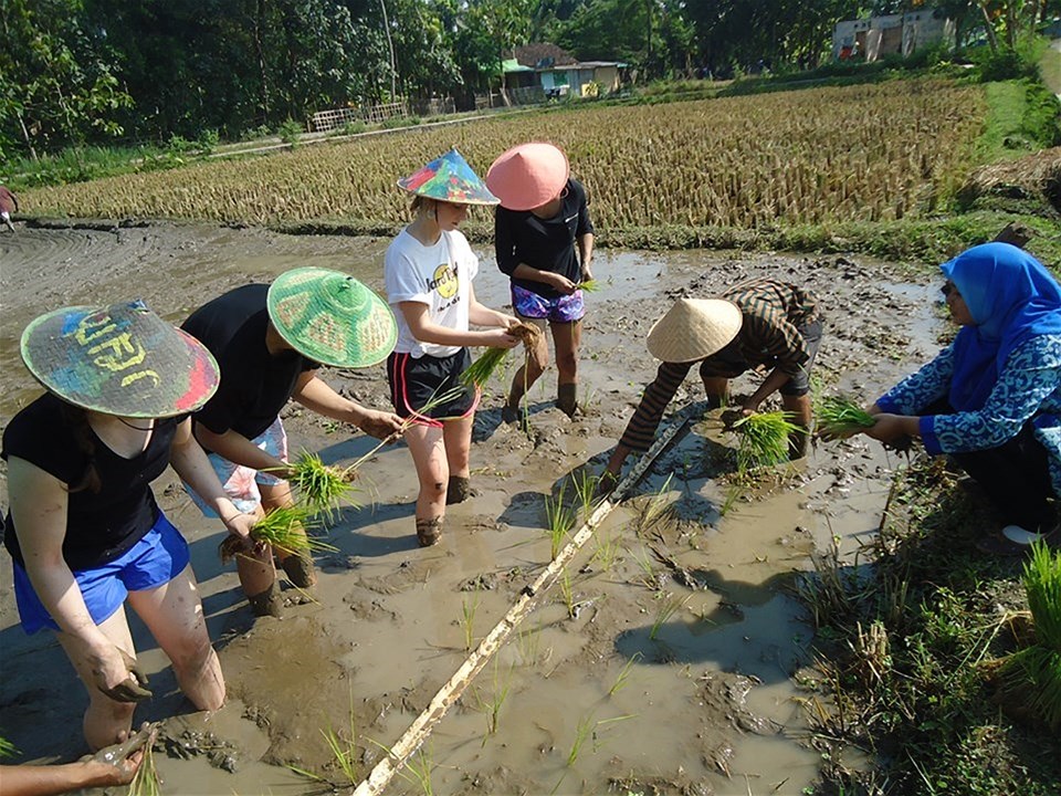 Yogyakarta's Rural Life by Bike