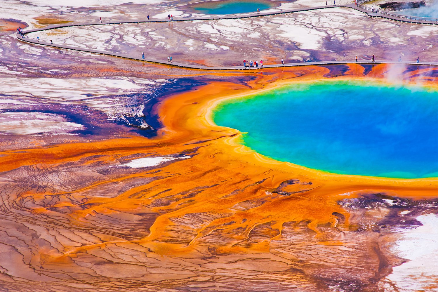 Yellowstone & The Rockies