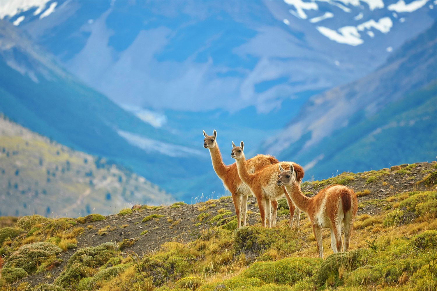 Torres Del Paine National Park