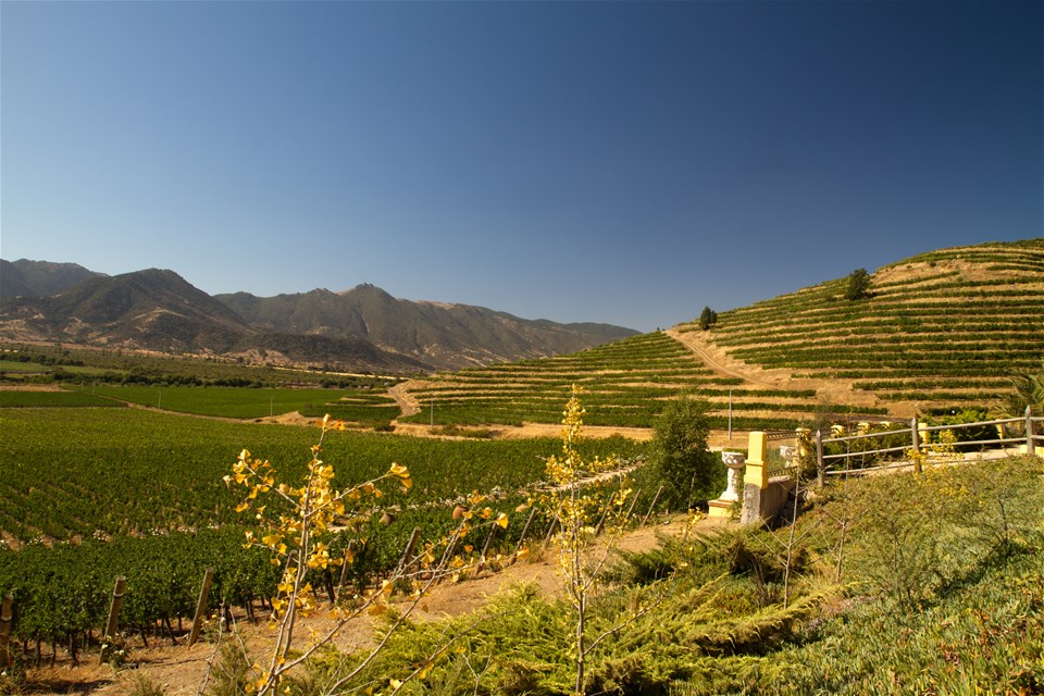 Chile Winelands Extension