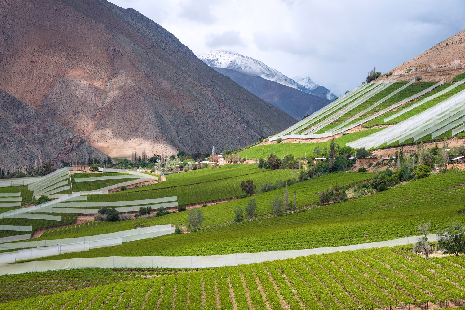 Elqui Valley